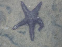 Tuesday July 12, 2011 10:28 - 100_1095 (2).JPG